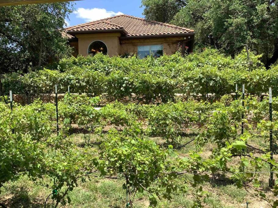 Villa At Cibolo Chase, A Private Resort With Pool Bulverde Exterior photo